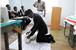 Medic First Aid Training 
